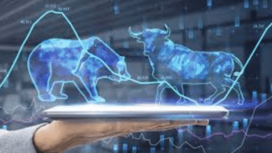 Nayara unlisted share price