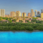 Tampa SEO Company
