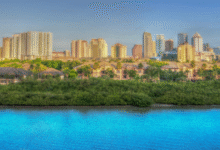 Tampa SEO Company