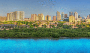 Tampa SEO Company