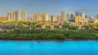 Tampa SEO Company