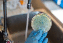 bacteria in drinking water