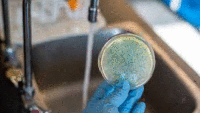 bacteria in drinking water