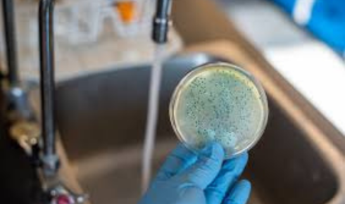 bacteria in drinking water
