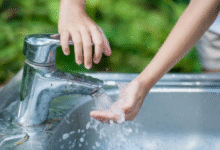 nitrates in drinking water South Lyon