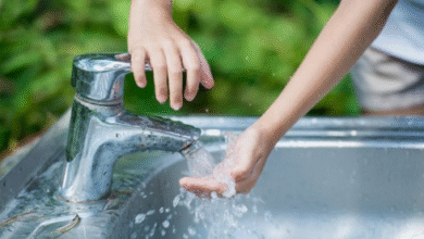 nitrates in drinking water South Lyon
