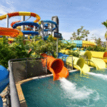 Splash Mania